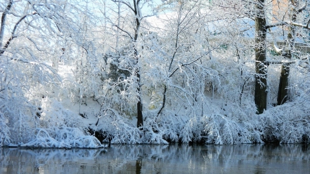 Winter River - forest, winter, river, trees, snow