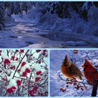 Winter Collage