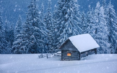 Winter - falling, snow - home, forest, falling, snow, winter