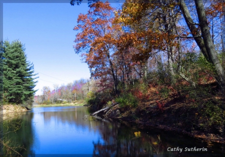 Autumn on the Lake - fall, lake, trees, water, leaves, pond