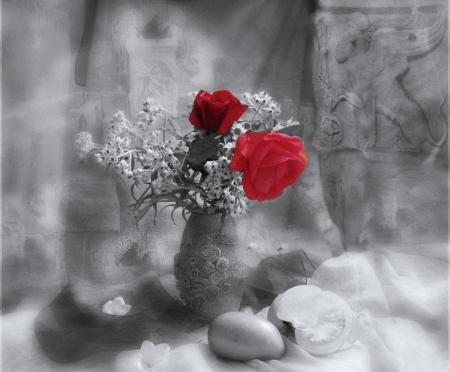 Don't let me down - color, rose, red, vase