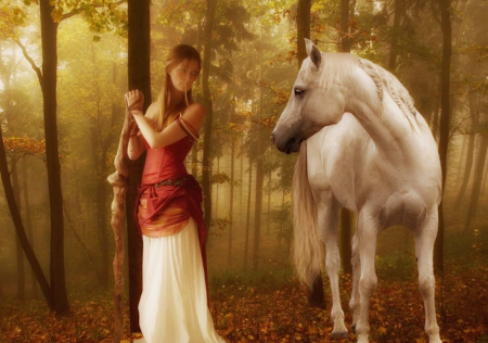 Follow me - white, woman, beauty, horse