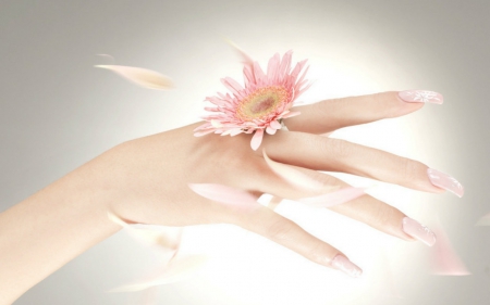 Pink Bloom - style, flower, hand, bloom