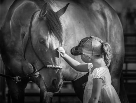 I will always be with you - horse, girl, cute, friends