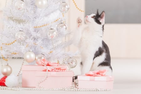 Playful Kitty - pearls, presents, bows, beads, sweet, tree, cat, christmas, playful, lights, cute, ornaments, adorable, kitty