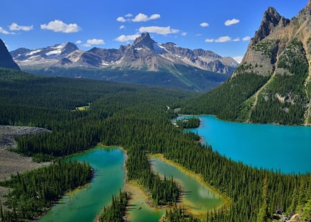 Rocks - lake - lake, forest, landscape, rocks