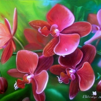 âœ¿âŠ±â€¢â•®Red_Orchidsâ•­â€¢âŠ°âœ¿