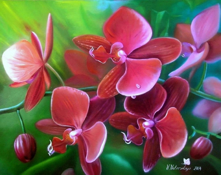 ✿⊱•╮Red_Orchids╭•⊰✿ - creative pre-made, beautiful, paintings, colors, lovely, still life, sweet, flowers, lovely still life, nature, red, orchids, love four seasons, draw and paint