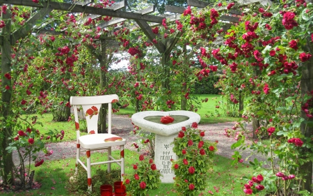 Garden of roses - roses, romantic, home, chair, flowers, white, red, garden, birddath