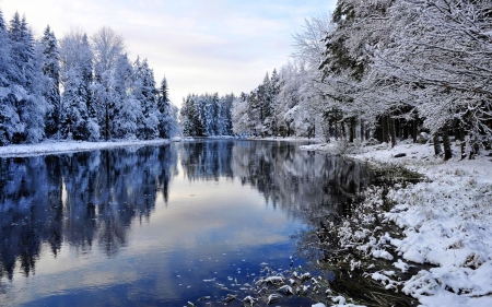 Snowy winter - forest, winter, beautiful, frost, serenity, shore, lake, reflection, river, trees, nature, snow, cold