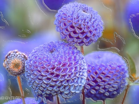 Blue frosted pom-poms - pretty, abstract, pom poms, blue, beautiful, digital art, creative, flowers, cg, awesome, 3d, pastel