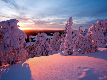 Winter - Trees, sunset, nature, snow, Winter, landscapes