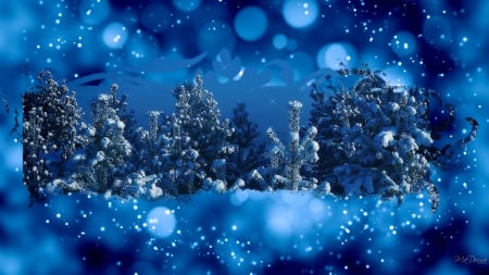 Framing Winter Forest - shine, forest, sparkle, winter, collage, blue, bokeh, woods, trees, snow