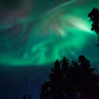 Aurora Borealis - Denali National Park - Canada
