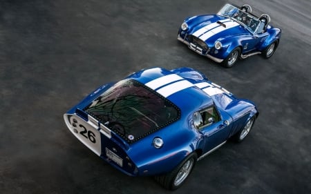 1965 Daytona Coupe & 1967 Roadster Cobra - cobra, ford, cars, blue