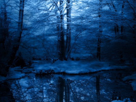 winter woodland - winter, woodland, tree, reflection