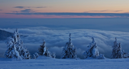 Winter - romania, winter, mountain, snow