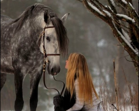 Horse and a Girl - forest, horse, animal, woman