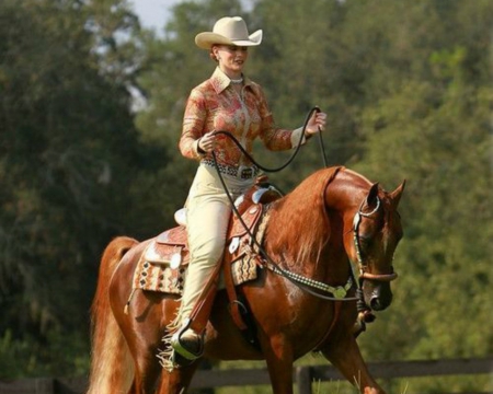 Morning Ride - horse, animal, cowgirl, woman