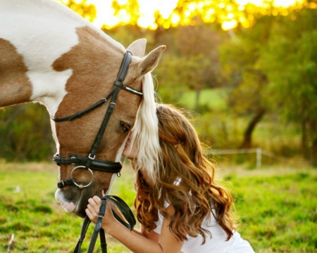 Nice Morning - field, horse, animal, woman