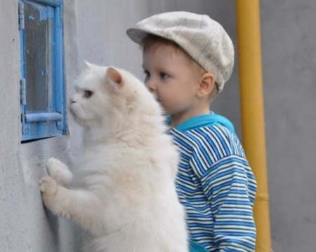 Peeking - cute, kid, animal, cat