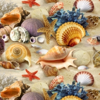 Sea shells