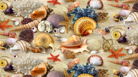 Sea shells - starfish, corals, beach, sea shells, sand