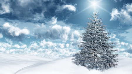 Winter Seasons - sky, tree, winter, snow