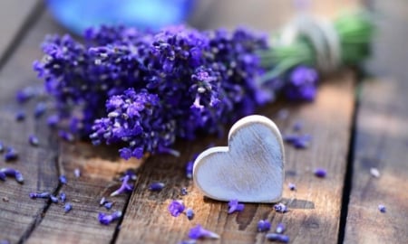 ♥ - flowers, heart, purple, image