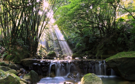 Sunrise on a Waterfall - nature, sunrise, trees, waterfall