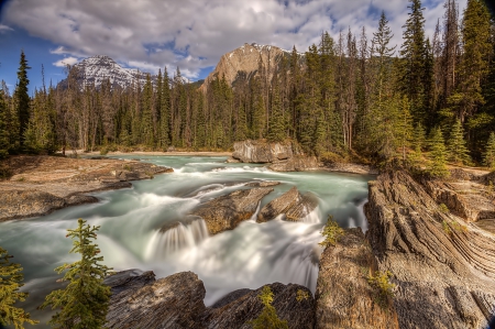 Rocks - wild river - forest, rocks, landscape, river, wild