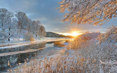 Winter - sunrise - Winter, river, sunrise, trees