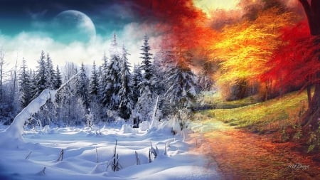 Autumn 2 Winter - bright, autumn, fall, collage, trees, forest, snow, winter