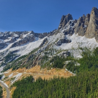 mountain and forest washington