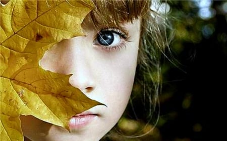 Face in Autumn - leaves, face, autumn, eyes