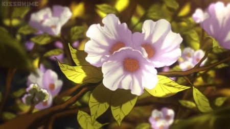 Blossom - beauty, nice, branch, pretty, amagi brilliant park, anime, scene, branches, lovely, nature, floral, amagi, pink, beautiful, blossom, sweet, flower