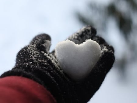 Winter Time - winter, glove, snow, heart