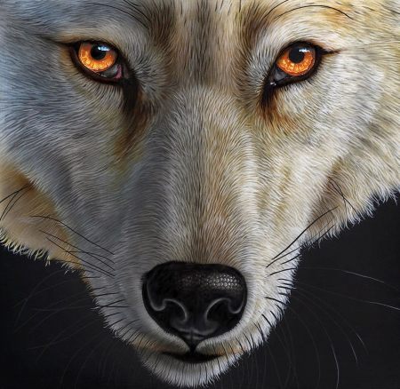 Yellow Eyes - face, wolf, predator, artwork