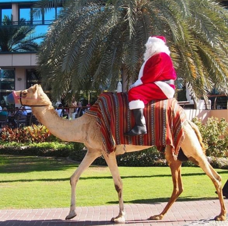 Santa claus on the camel - christmas, camel, beautiful, santa claus