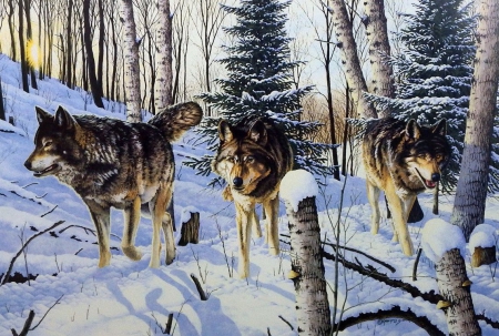 Shadow Ridge - wolfpack, predator, trees, winter, wolves, wolf, painting, artwork, snow