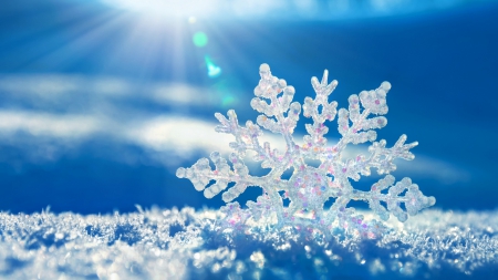 Snowflake - snow, winter, season, joy