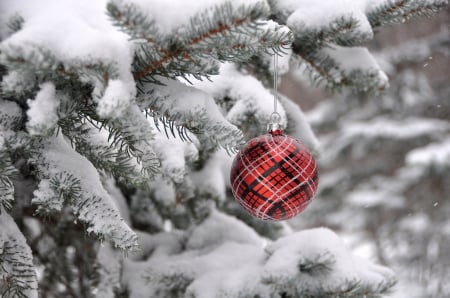 Christmas Time - wishes, snow, winter, ball, christmas