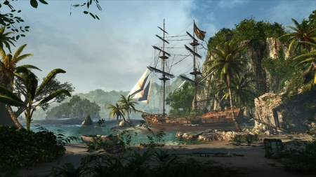 Pirate Cove - game, cove, pirates, assassins, video, creed