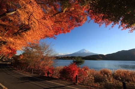 Autumn in the Fuji-san