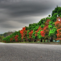 beautiful autumn road