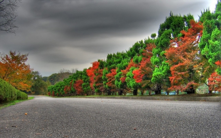 beautiful autumn road - cloud, road, tree, autumn