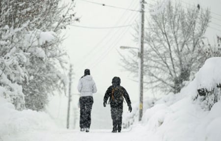 Winter Time - Cold, Winter, Snowing, Snow