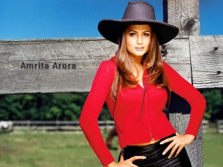 Cowgirl Amrita Arora - style, girls, westerns, women, models, hats, cowgirls, famous, fun, female, fashion