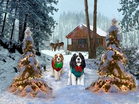 Country greeting - trees, dogs, lights, snow, country, Christmas