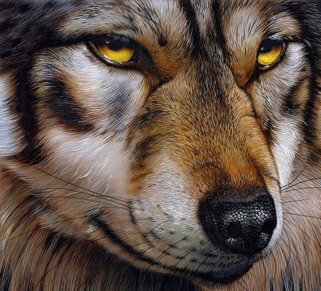 These Eyes.... - face, predator, wolf, artwork